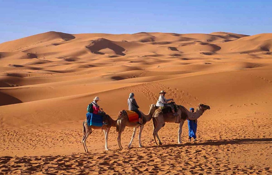 What is a Premium Red Sand Dunes Tour and Camel Safari with BBQ?