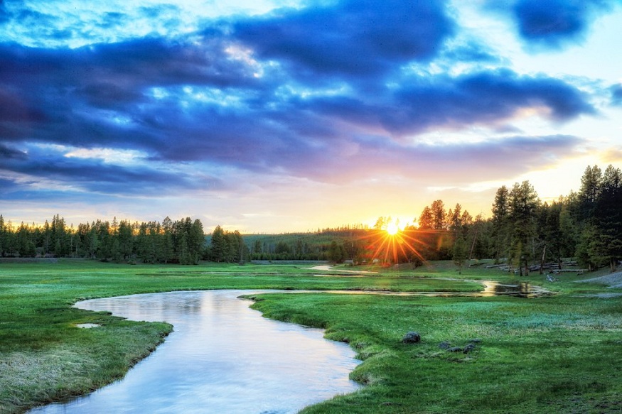 Seasonal Wildlife & Nature